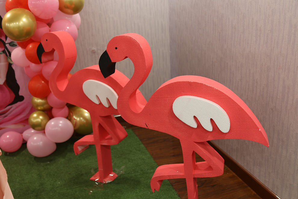 Hoorain 1st Flamingo Birthday
